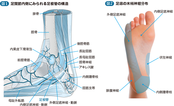 ほおっておくと慢性化する、、、足首の痛みの対処法 - てて整骨院登別店